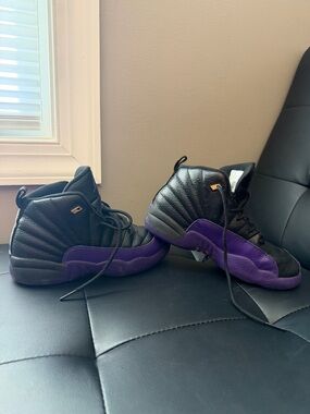 Air Jordan 12 Retro Purple and Black
